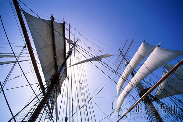 505391免费观看网站用于桅杆 505391免费观看网站用于桅杆