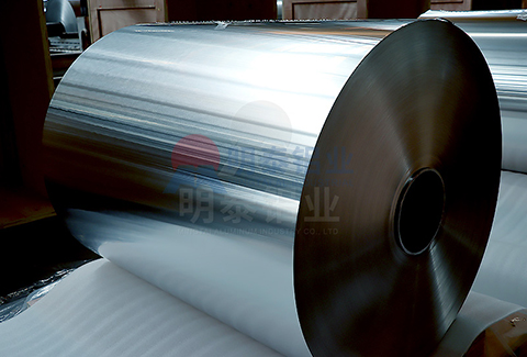 300491免费视频污APP