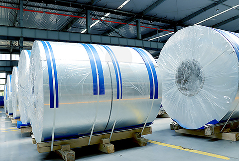 508391免费黄片下载