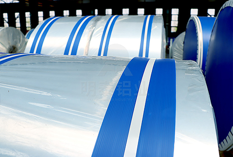 505291免费黄片下载